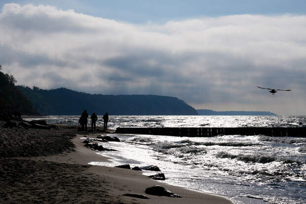 IHA: боеголовку вынесло на берег Черного моря в Турции