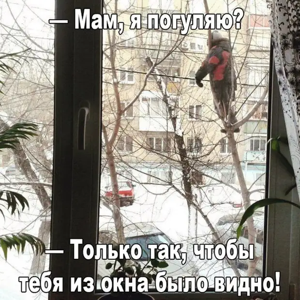 Почему рваные джинсы модно, а рваные носки нет? Почему рваные джинсы модно, а рваные носки нет? вредит, льдом, потому, сколько, проехал, дальше, таковы, традиции, страныЯ, машине, заметил, вспышку, видеокамерыЯ, сообразил, сфотографировали, заплаканной, предмет, превышения, скорости, скорость