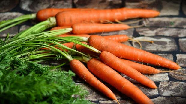 Офтальмолог Куренков оценил эффективность моркови в восстановлении зрения