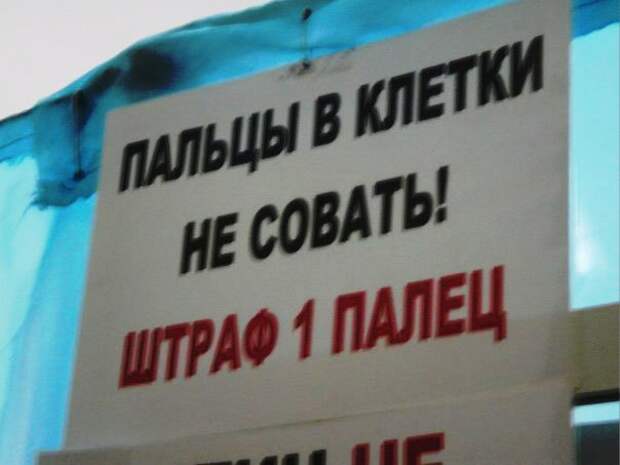Добро пожаловать в зоопарк!