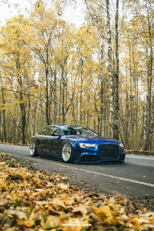 audi a5 sportback 14