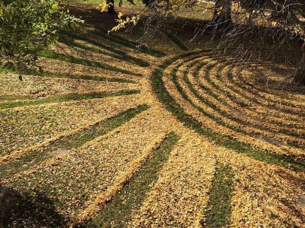 Joanna Hedrick Transforms Dead Leaves Into Beautiful Land Art Creations