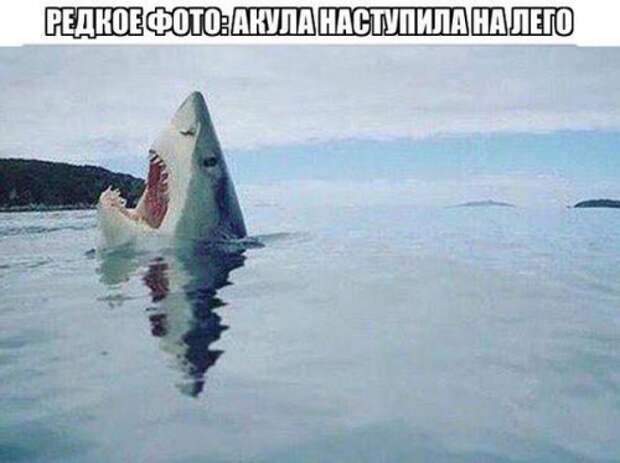 Новые прикольные фотомемы