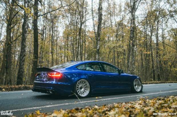 bagged audi a5 sportback 14