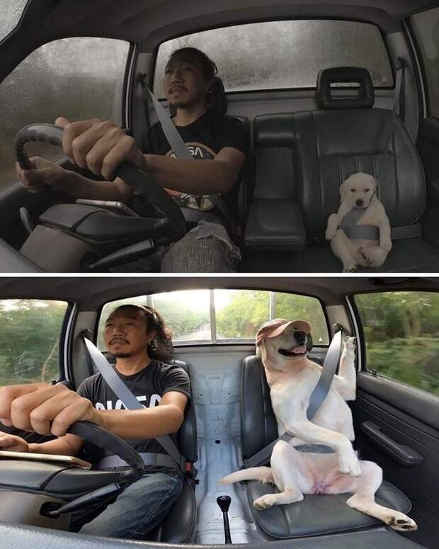 6. Милота! 6. Милота!