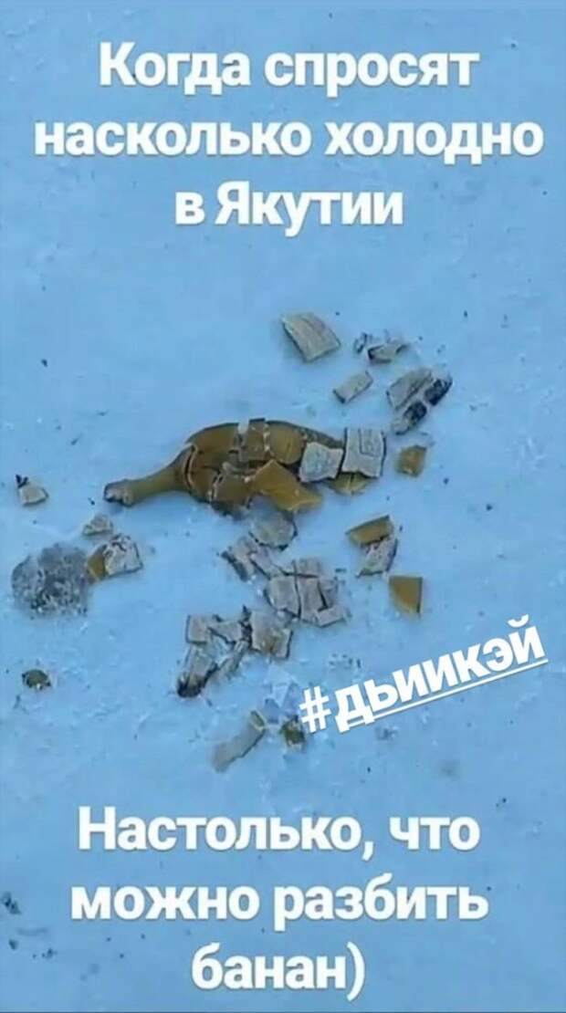 Подборка прикольных картинок