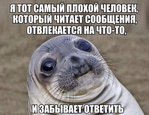 Прикольные картинки. Дневной выпуск (51 фото)