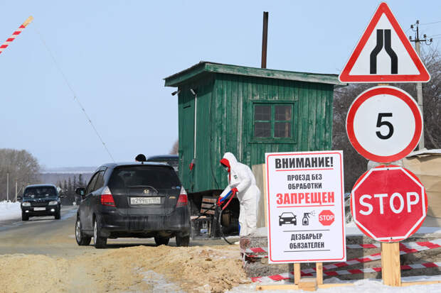 В Новосибирской области есть более 4 тыс. животных для восстановления поголовья
