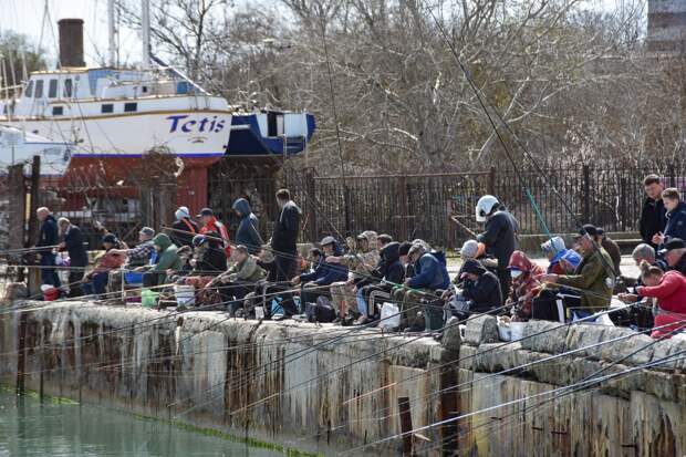 Рыбалка в Крыму 2026: где лучше клюёт, нормы вылова и штрафы