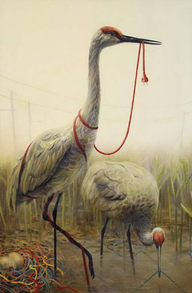Мечтательные картины Martin Wittfooth Мечтательные картины Martin Wittfooth