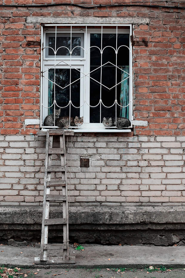 Фото Вугара Мамедзаде (5).jpg