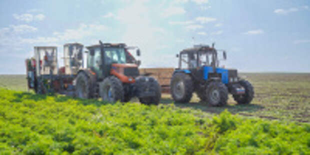 Для аграриев региона открыто льготное кредитование на развитие сельскохозяйственного производства