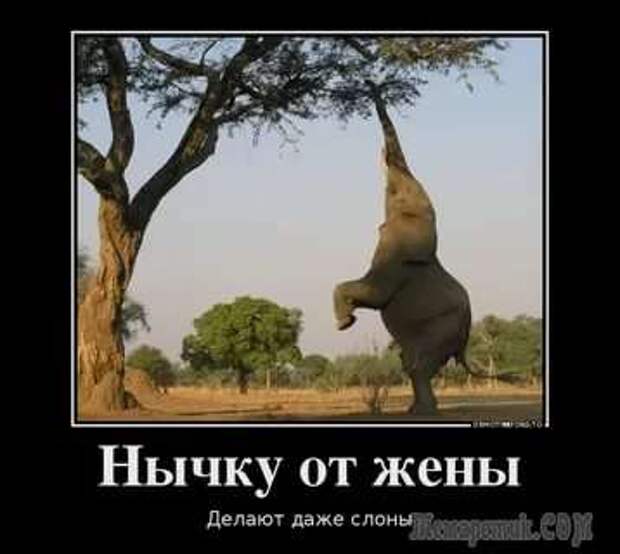 Прикольные демотиваторы с надписями. Подборка chert-poberi-dem-chert-poberi-dem-09300614122020-16 картинка chert-poberi-dem-09300614122020-16