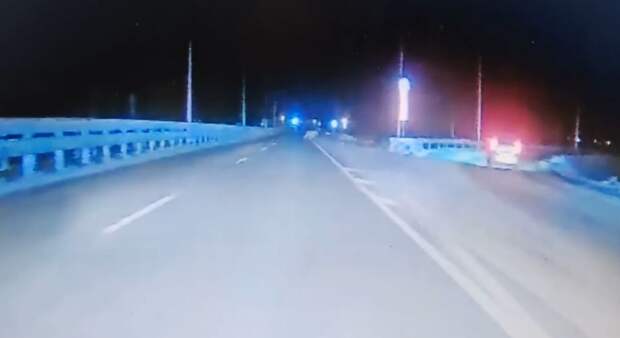 Неожиданный «пешеход» на трассе: в районе Раздольного тигр перебежал дорогу перед машинами