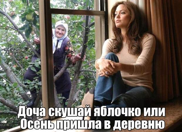 Прикольные картинки