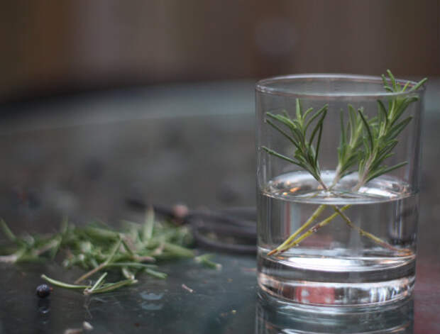 rosemary