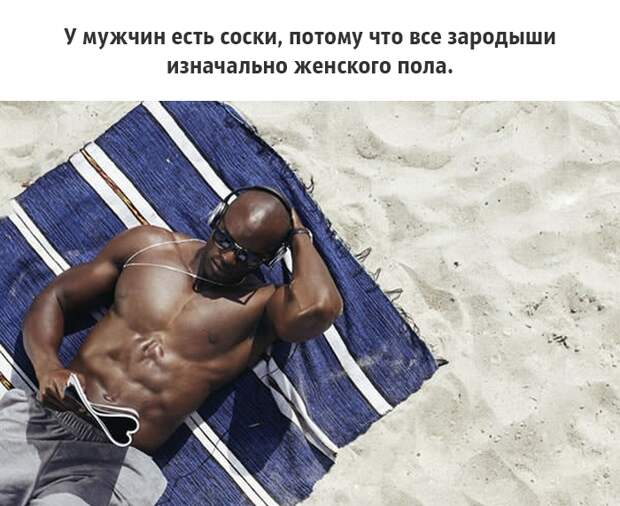 25 малоизвестных фактов о груди, которые должен знать каждый грудь, факты