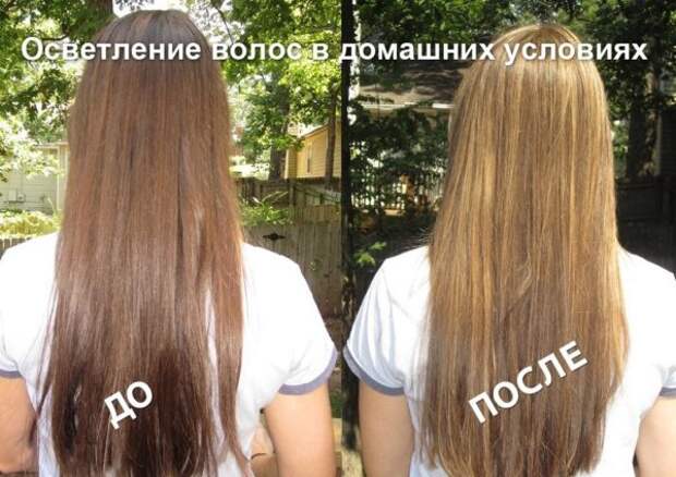 Осветление волос ромашкой фото до и после