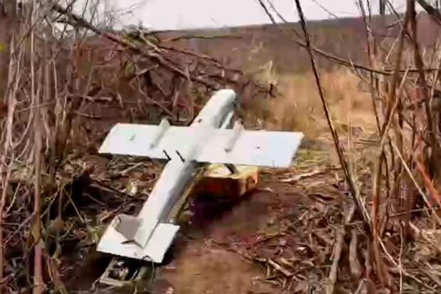 Новейшие разведывательные БПЛА "Молния-Р" начали массово поступать в войска