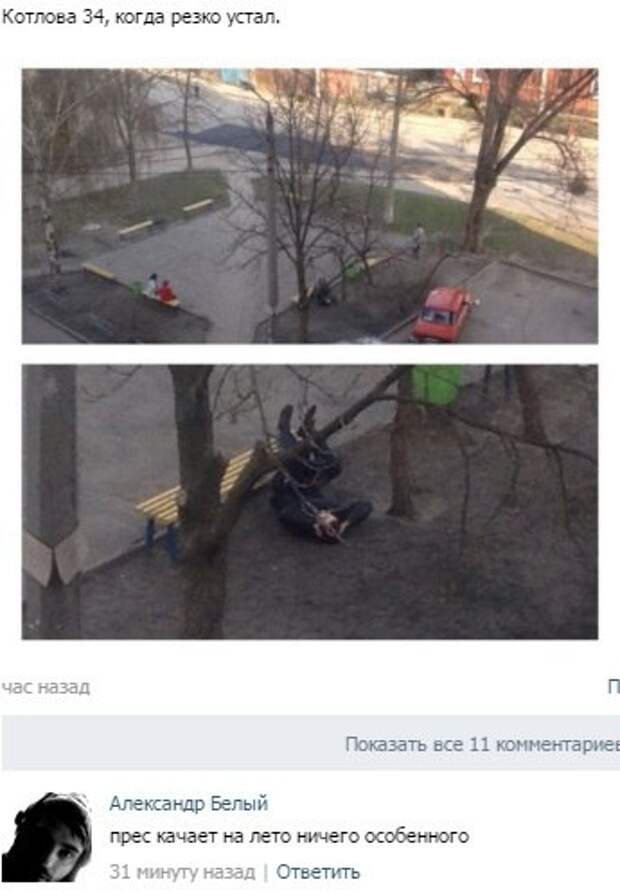 Приколы