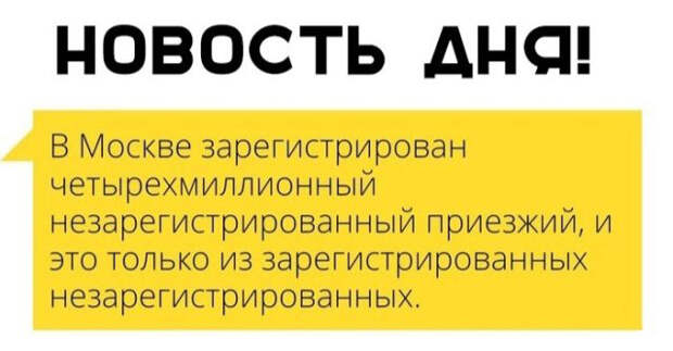 Перлы из социальных сетей на самые актуальные темы Перлы из социальных сетей на самые актуальные темы