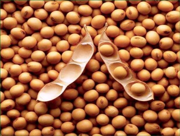 Топ-25: Продукты питания, которые лучше не есть перед свиданием Топ-25: Продукты питания, которые лучше не есть перед свиданием