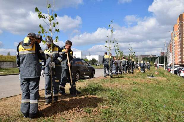 РНПК в 2022 году высадила свыше 600 саженцев деревьев