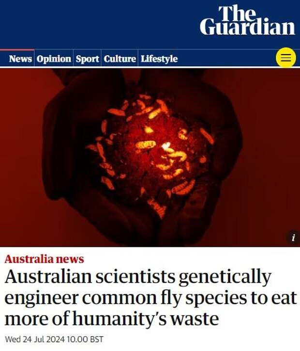 Австралийские ученые учат мух есть наше говно