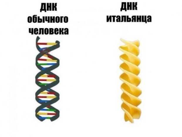 Новые прикольные фотомемы
