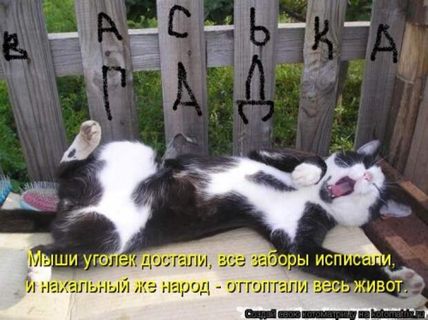 Новая котоматрица для всех (34 фото)