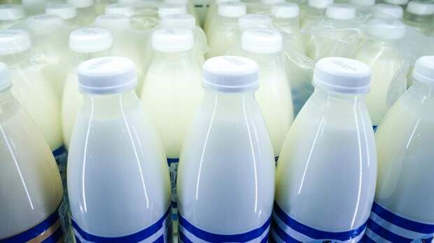 В России приходится выливать молоко из-за рекордных избытков на складах