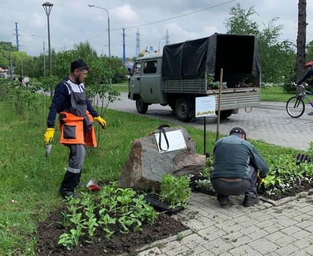 Возле памятного камня в усадьбе Алтуфьево коммунальщики провели уборку и высадили цветы