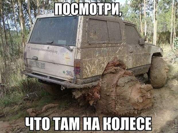 Похожее изображение