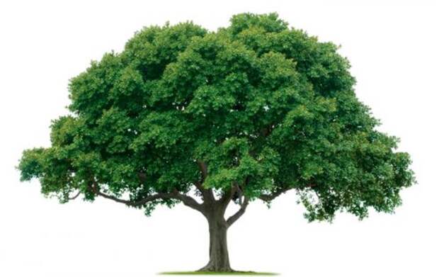 Короткий тест, который раскроет секреты вашего истинного характера Короткий тест, который раскроет секреты вашего истинного характера