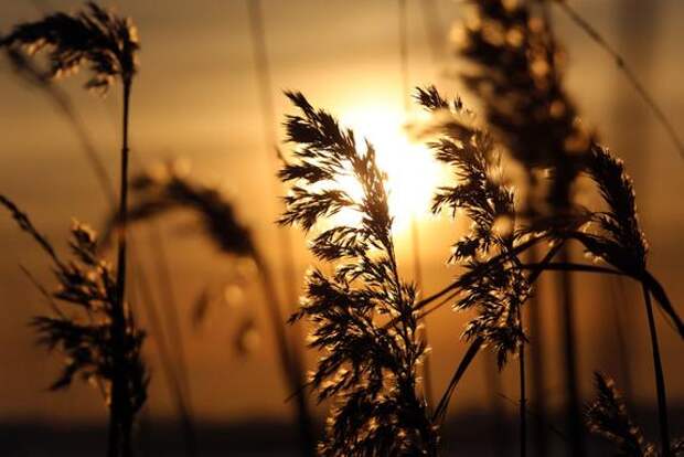 Метеозависимых петербуржцев предупредили о приближении магнитной бури