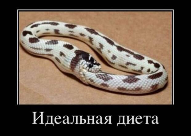 www.vsyako.net
