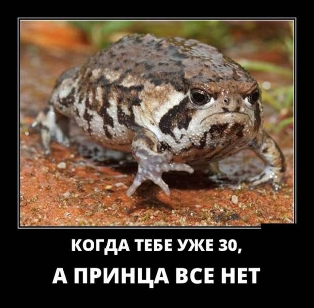 Демотиваторы (30 фото)