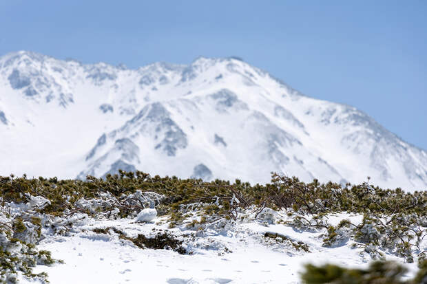 Российская тревел-блогерша рассказала о правилах поведения туристов в тундре