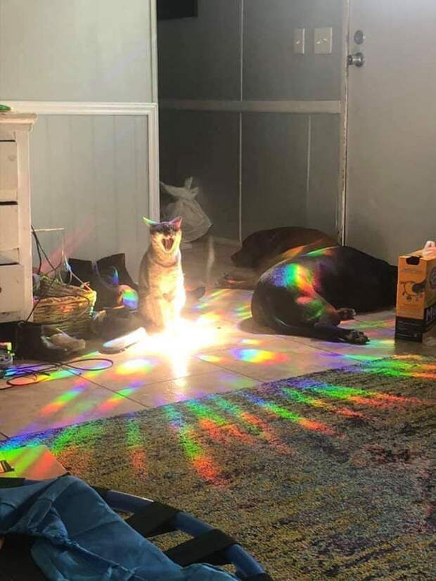 Загадочные кадры, в которых нет ни грамма фотошопа