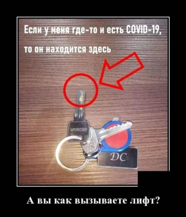 Демотиваторы про коронавирус с надписями. Подборка chert-poberi-dem-koronavirus-chert-poberi-dem-koronavirus-53190208062020-15 картинка chert-poberi-dem-koronavirus-53190208062020-15