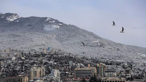 Переехавший в Крым режиссёр Тремблей намерен получить гражданство России