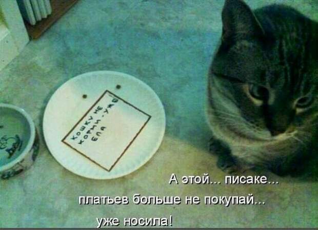 Прикольные картинки (30 фото)