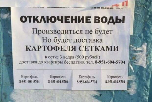 Забавные и странные объявления с наших улиц (22 фото)