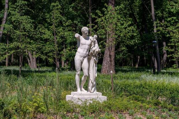 В усадьбе Покровское-Стрешнево восстановили исторические аллеи и сад