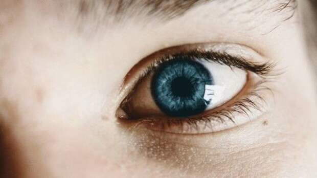 Цвет глаз гены, дети, родители