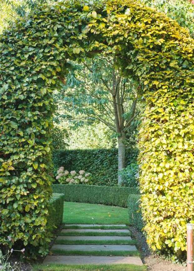 Классический Сад by Barnes Walker Ltd - Landscape Architects