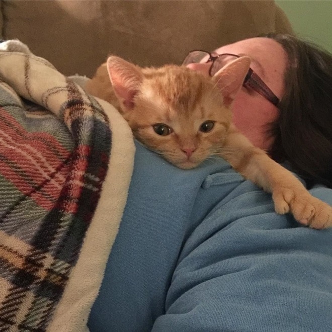 Котенок лежит Котенок лежит на женщине