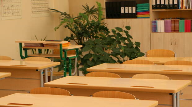 Трудинспекция заинтересовалась увольнением учителей из дзержинской школы