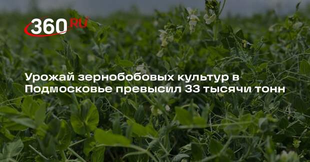 Урожай зернобобовых культур в Подмосковье превысил 33 тысячи тонн