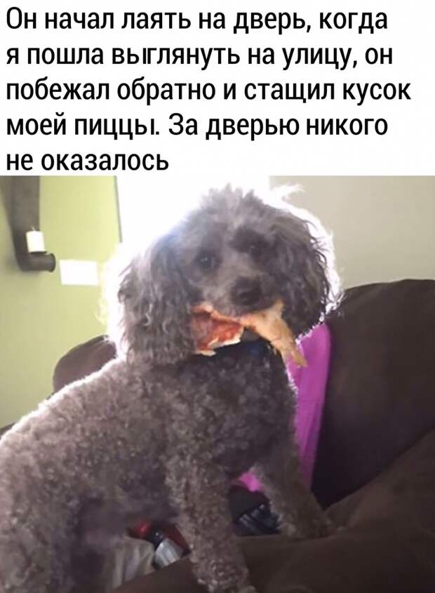 Хитрый мальчик